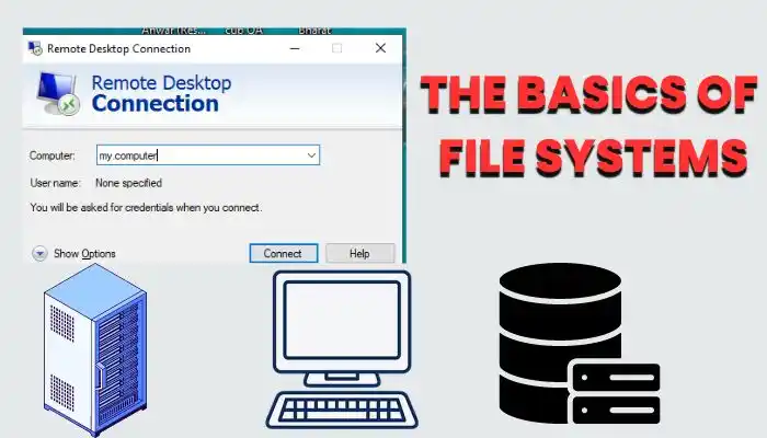 The Basics of File Systems